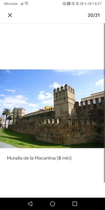 Apartamento En El Casco Antiguo Junto Alameda H. Sevilla Eksteriør billede
